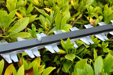 綠籬機(jī)刀片多久更換一次？